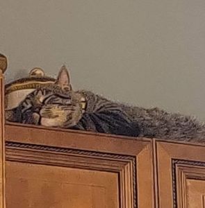 Meet your Posher, Chrissy